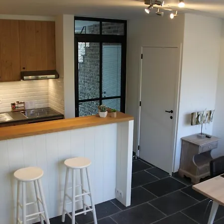 Logies Tommenmolen Apartment *